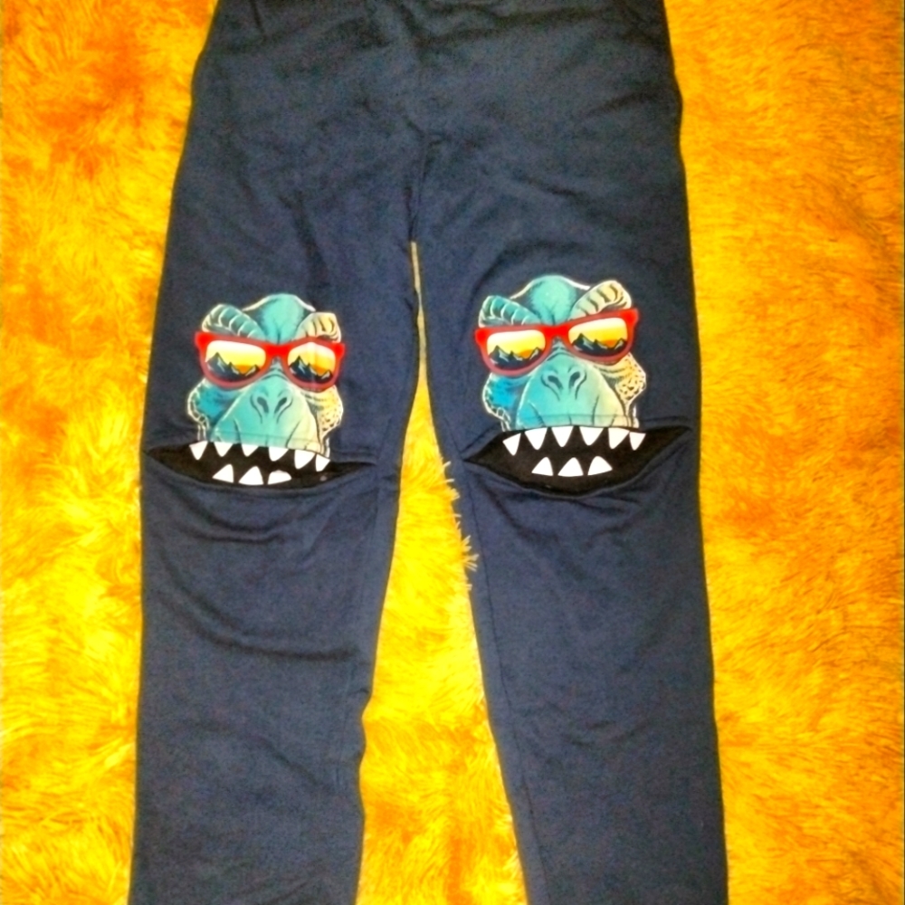 Garanimals Size 10 dino sweatpants.